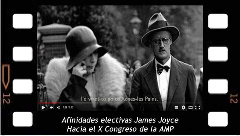 Afinidades electivas James Joyce